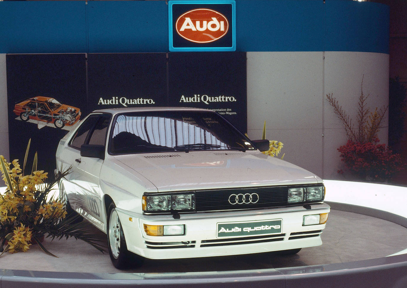 Fotos: Fotogalería: La tracción Quattro de Audi cumple 40 años