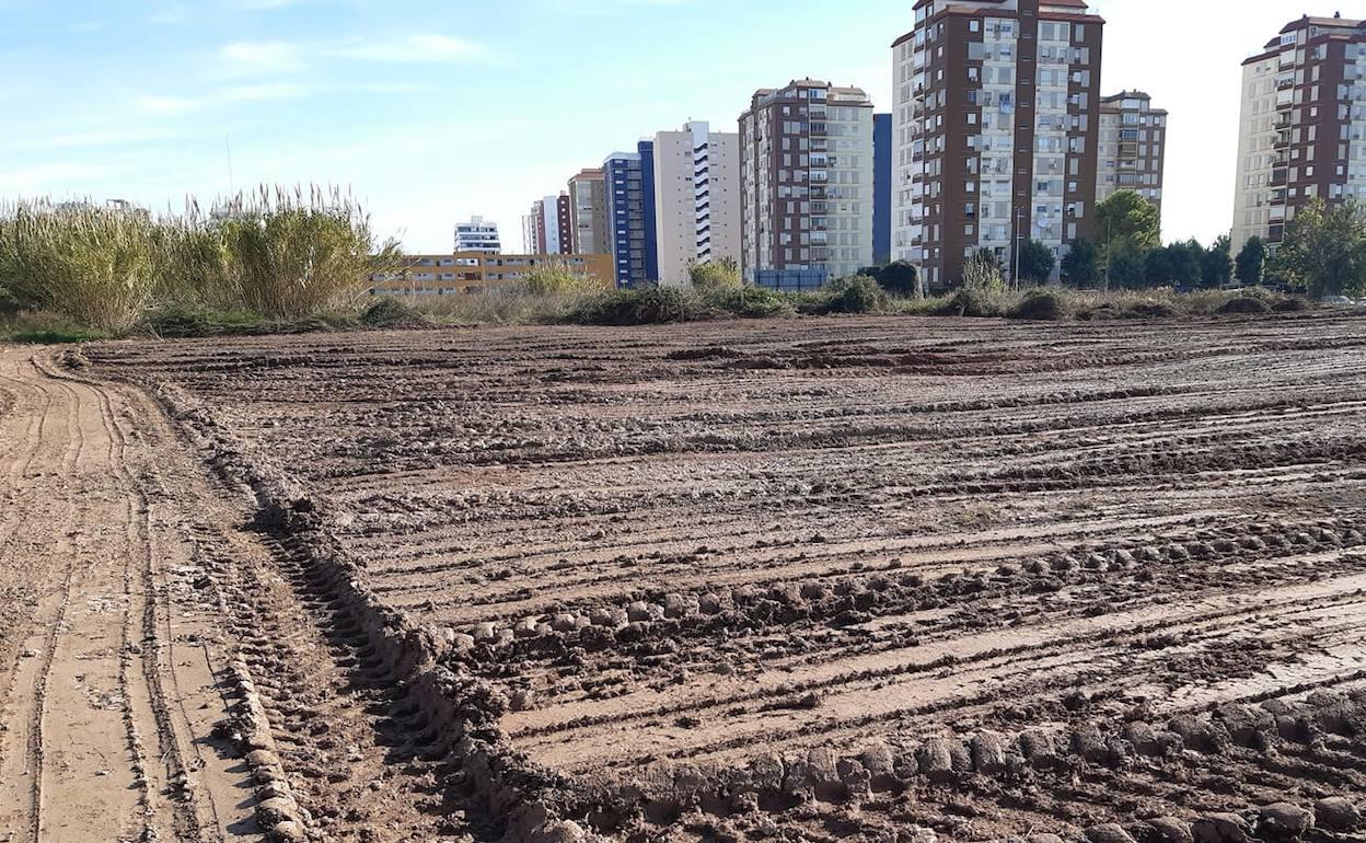 La lámina inundable que se está creando para absorber las aguas. 