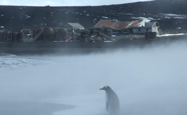 Una estación de pesca de ballenas abandonada. 