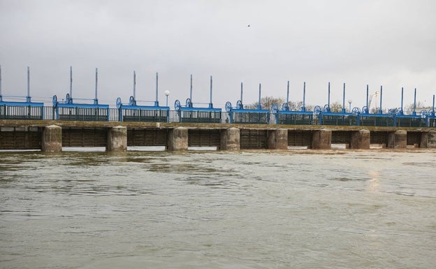 Una comisión científica para salvar la Albufera