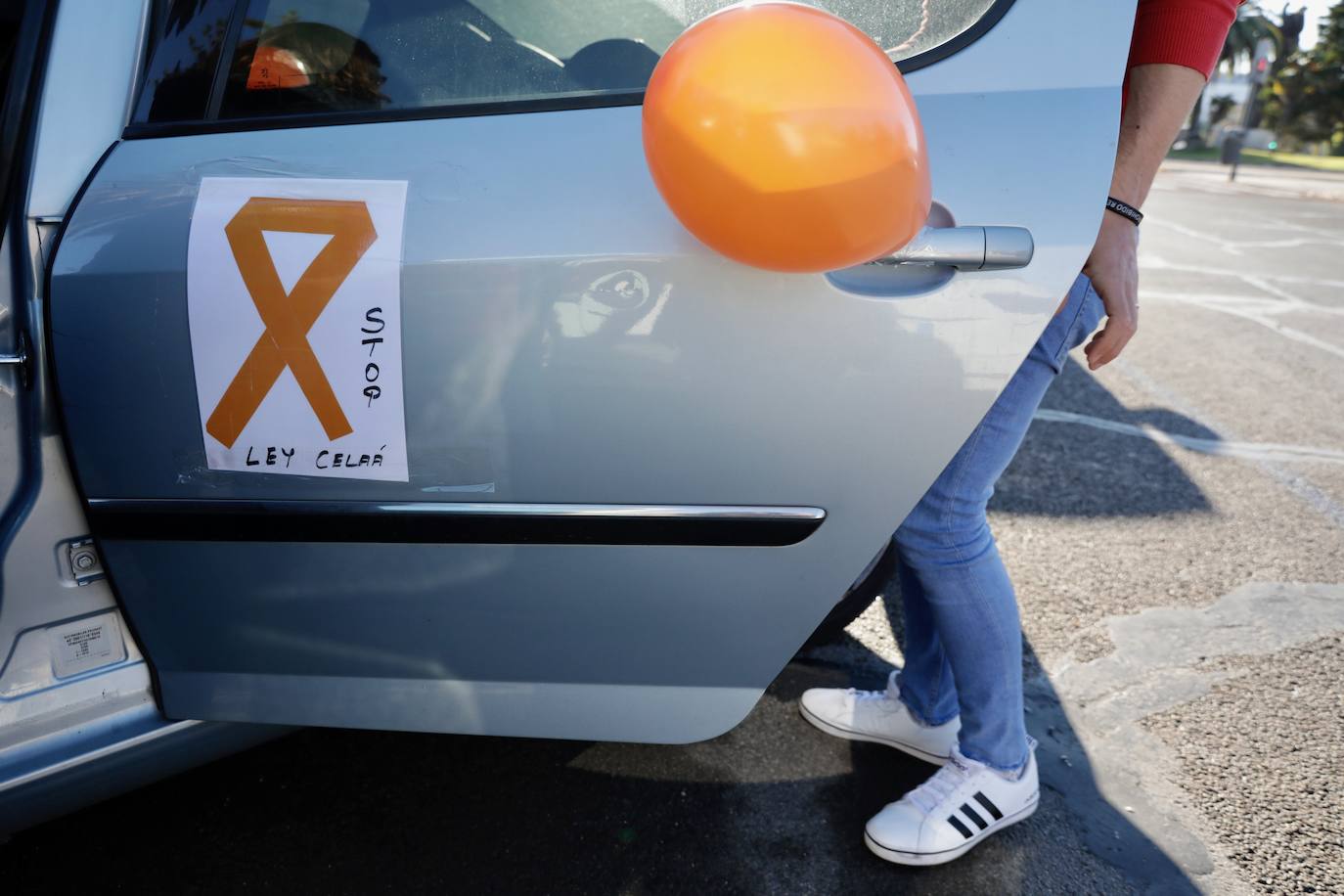 La manifestación en coche contra la Lomloe recorre algunas de las principales vías de Valencia. La protesta, impulsada a nivel nacional por la plataforma 'Concertados', reúne a los detractores de la Ley Celaá en un recorrido iniciado en el paseo de la Alameda y que atraviesa las Grandes Vías, el paseo de la Pechina, las calles Blanquerías, Conde de Trenor, Pintor López y Paseo Ciudadela y el puente de las Flores