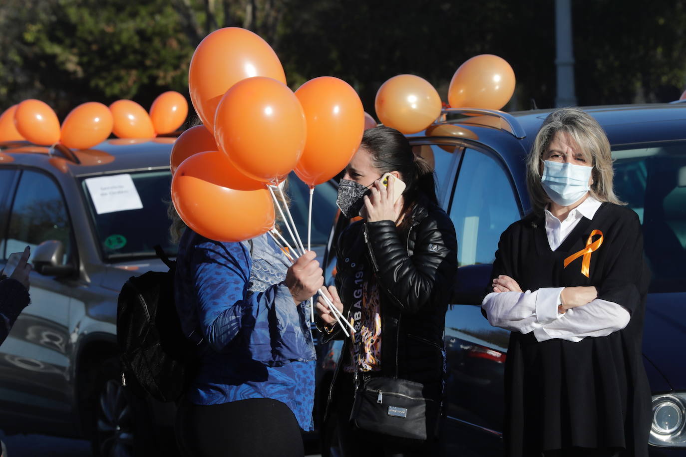 La manifestación en coche contra la Lomloe recorre algunas de las principales vías de Valencia. La protesta, impulsada a nivel nacional por la plataforma 'Concertados', reúne a los detractores de la Ley Celaá en un recorrido iniciado en el paseo de la Alameda y que atraviesa las Grandes Vías, el paseo de la Pechina, las calles Blanquerías, Conde de Trenor, Pintor López y Paseo Ciudadela y el puente de las Flores