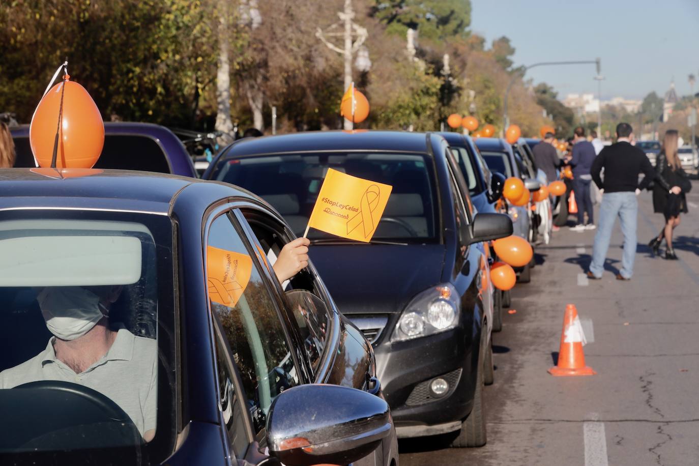 La manifestación en coche contra la Lomloe recorre algunas de las principales vías de Valencia. La protesta, impulsada a nivel nacional por la plataforma 'Concertados', reúne a los detractores de la Ley Celaá en un recorrido iniciado en el paseo de la Alameda y que atraviesa las Grandes Vías, el paseo de la Pechina, las calles Blanquerías, Conde de Trenor, Pintor López y Paseo Ciudadela y el puente de las Flores