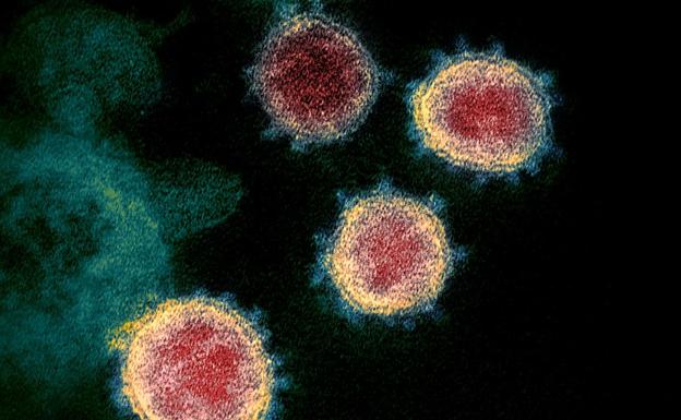 Detectan un caso de la nueva cepa de coronavirus en Gibraltar