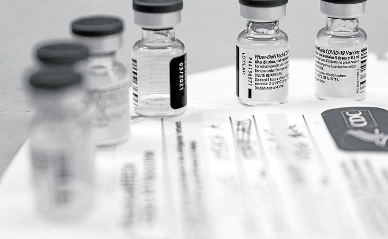 Cartilla Vacuna Covid: La estrategia de vacunación del Gobierno en España, en PDF: quién se tiene que vacunar primero y cuándo