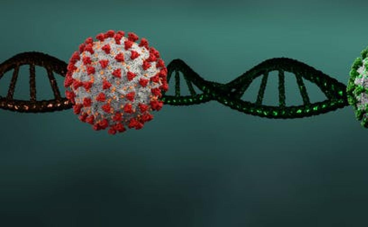Lo que sabemos y lo que no sobre la nueva variante de la covid