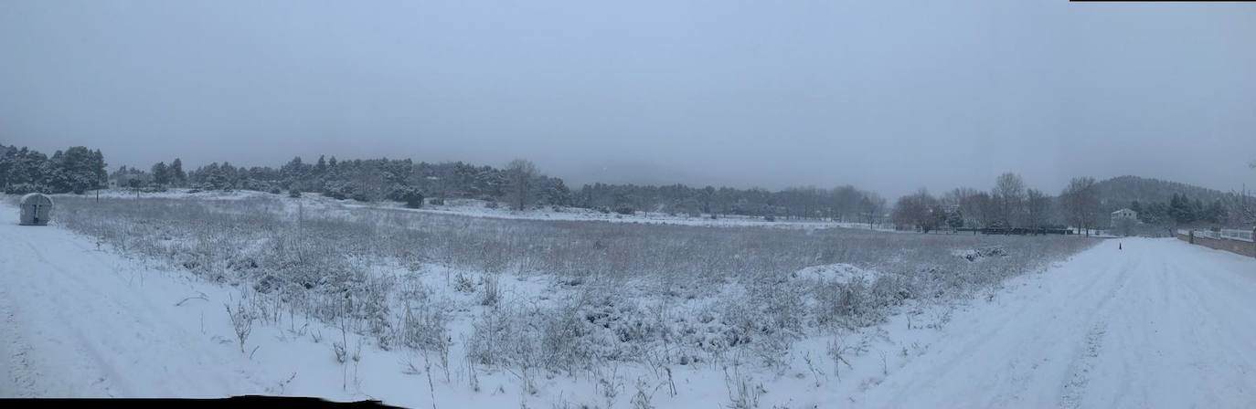 Requena: El primer temporal del invierno entra en la Comunitat cubriendo de blanco buena parte del interior de las provincias de Castellón, Valencia y Alicante. Aemet ha aumentado el aviso naranja previsto ya que los acumulados podrían ser considerables, de hasta quince centímetros. La borrasca no abandonará el territorio regional hasta el próximo sábado.