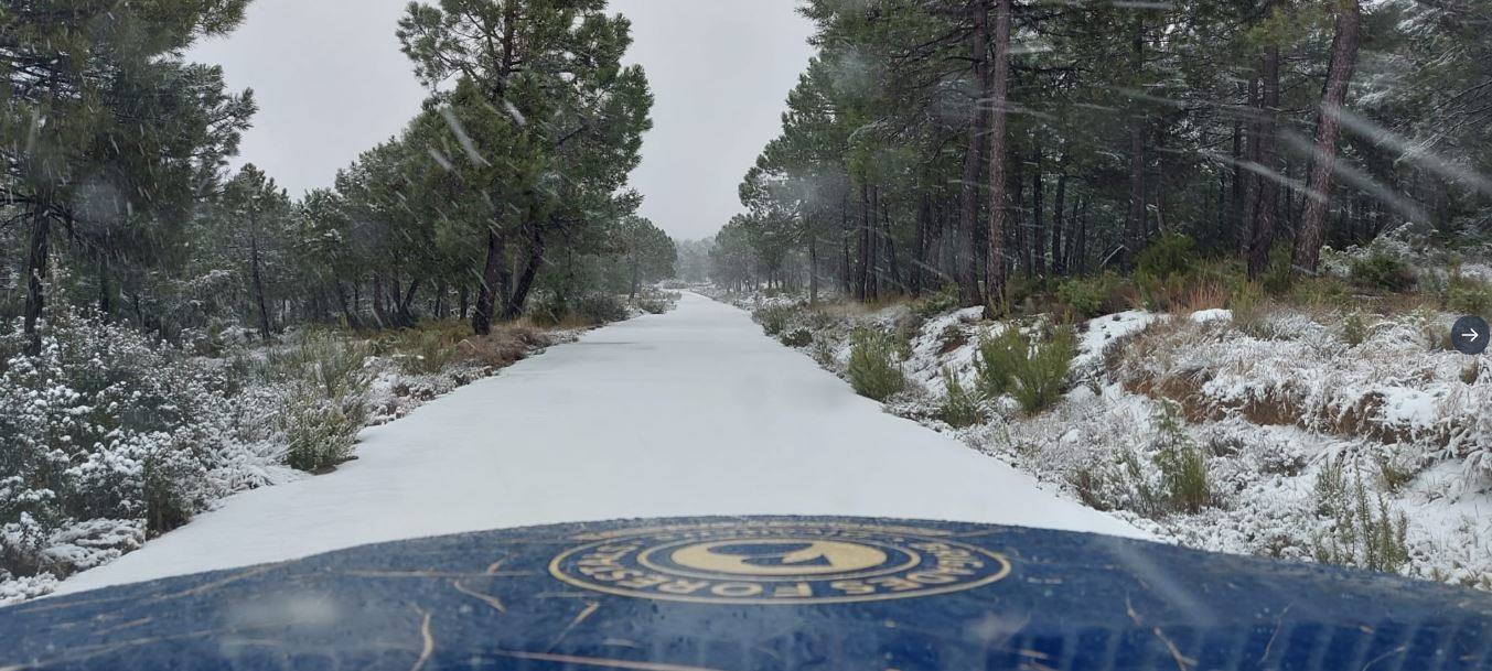 Valle de Ayora: El primer temporal del invierno entra en la Comunitat cubriendo de blanco buena parte del interior de las provincias de Castellón, Valencia y Alicante. Aemet ha aumentado el aviso naranja previsto ya que los acumulados podrían ser considerables, de hasta quince centímetros. La borrasca no abandonará el territorio regional hasta el próximo sábado.