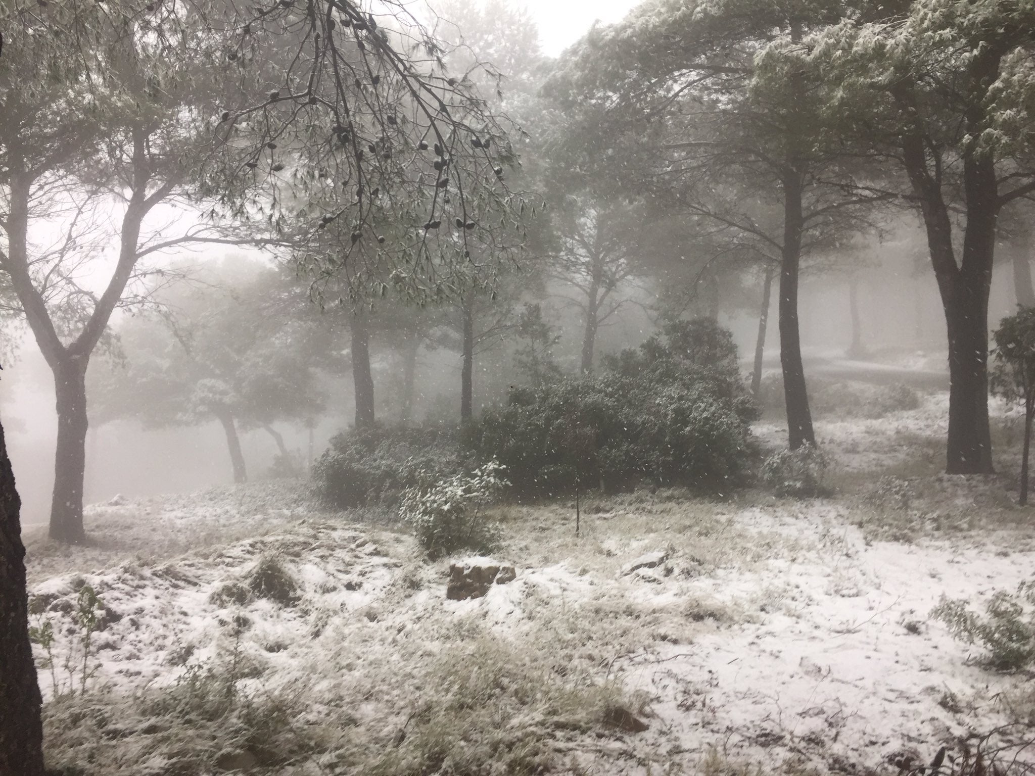 Fotos: Los efectos del temporal Filomena, este viernes en la Comunitat