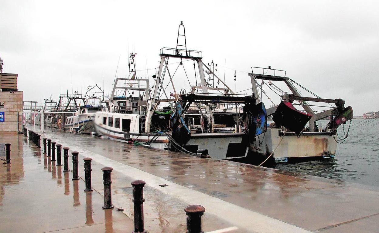 Las embarcaciones de pesca de Dénia se quedaron ayer amarradas en el puerto de la ciudad.