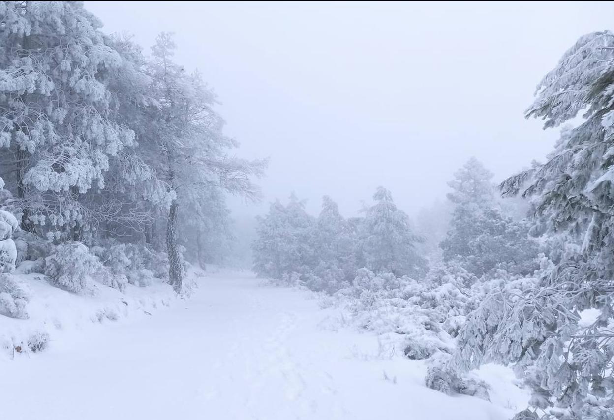 Imagen de la nevada en un monte de Requena