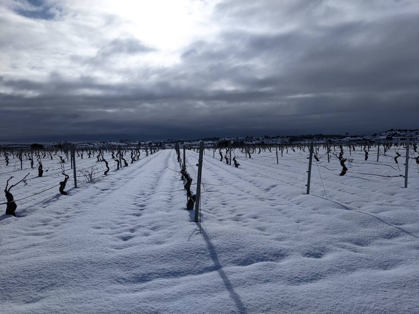 La borrasca 'Filomena' sigue descargando con fuerza sobre la Comunitat Valenciana este domingo. Nieve, hielo y lluvia en una jornada en la que los servicios de emergencia trabajan para minimizar los daños causados por el temporal