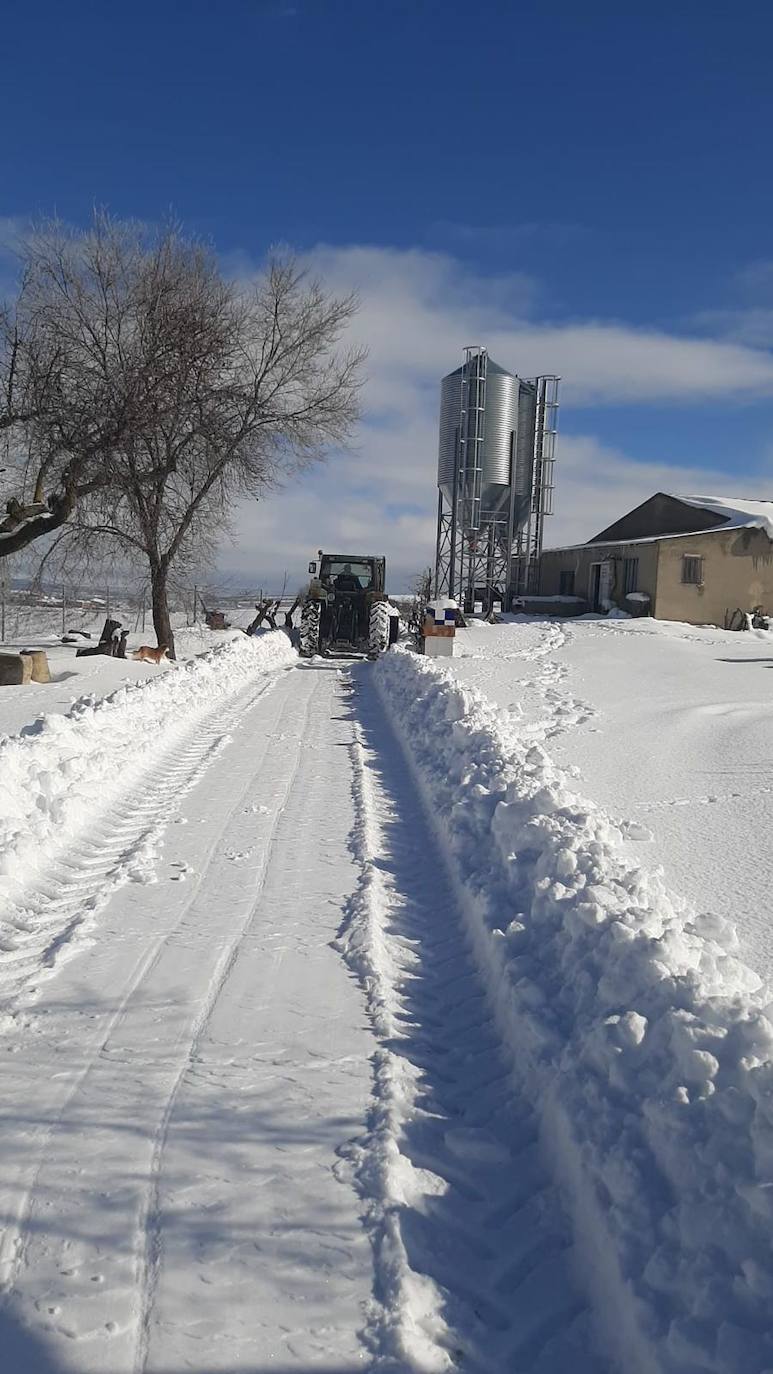 La borrasca 'Filomena' sigue descargando con fuerza sobre la Comunitat Valenciana este domingo. Nieve, hielo y lluvia en una jornada en la que los servicios de emergencia trabajan para minimizar los daños causados por el temporal