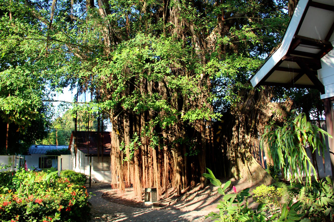 6.- Gabriel García Márquez (Aracataca, Colombia) | En la casa de Aracataca Gabriel García Márquez vivió hasta los ochos años de edad. Era una casa grande y hospitalaria que había sido comprada por el coronel Nicolás Márquez en 1912 y que más tarde fue recreada en las casas del Macondo, que inmortalizó el escritor en su novela 'Cien Años de Soledad'. Trece años después, el 20 de julio de 1925, un incendio la consumió por completo y la familia Márquez Iguarán tuvo que reconstruirla de nuevo.