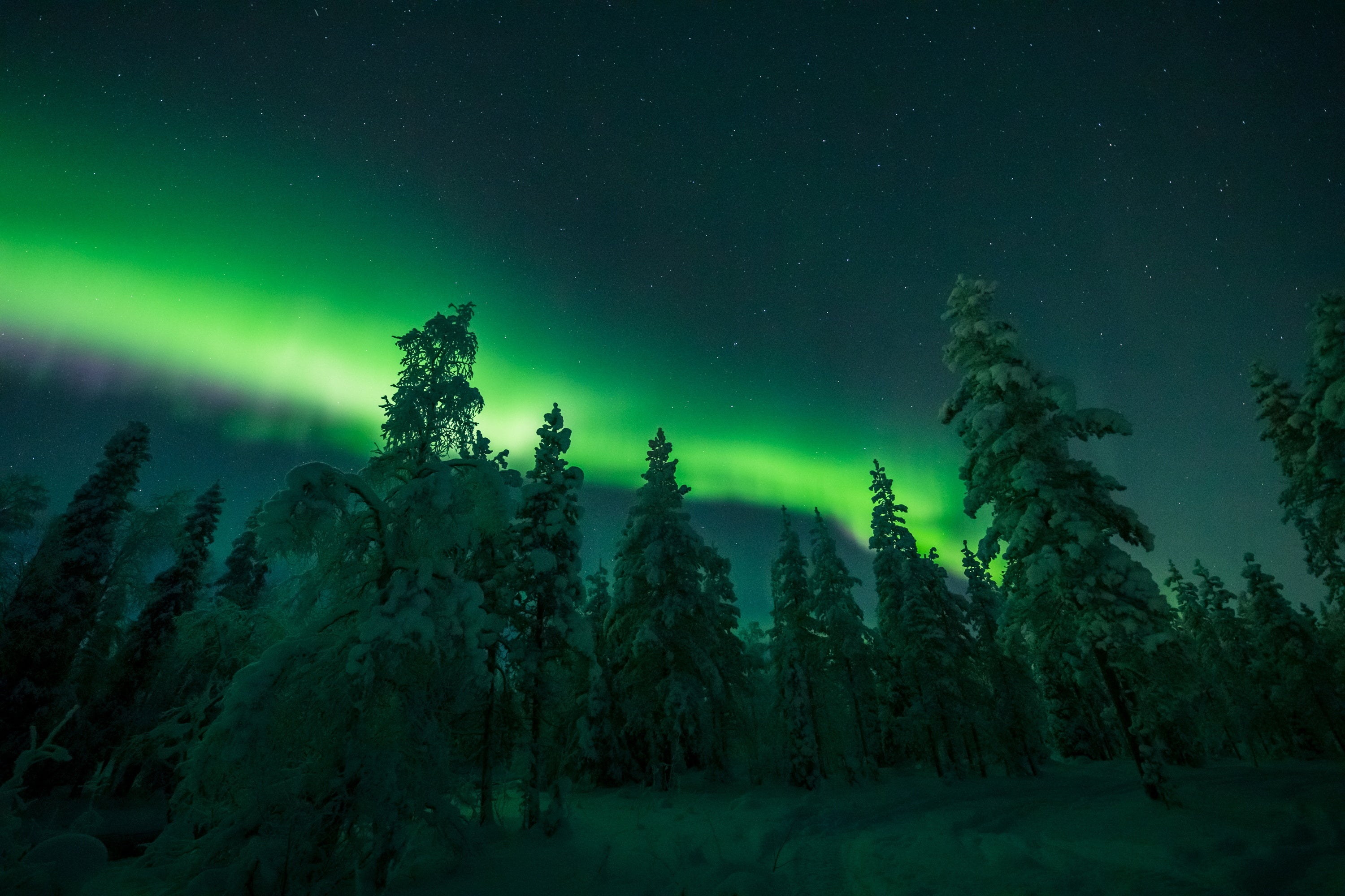 Extrañas formas brillan sobre los bosques nevados y los ríos de la Laponia finlandesa en la noche del 18 al 19 de enero