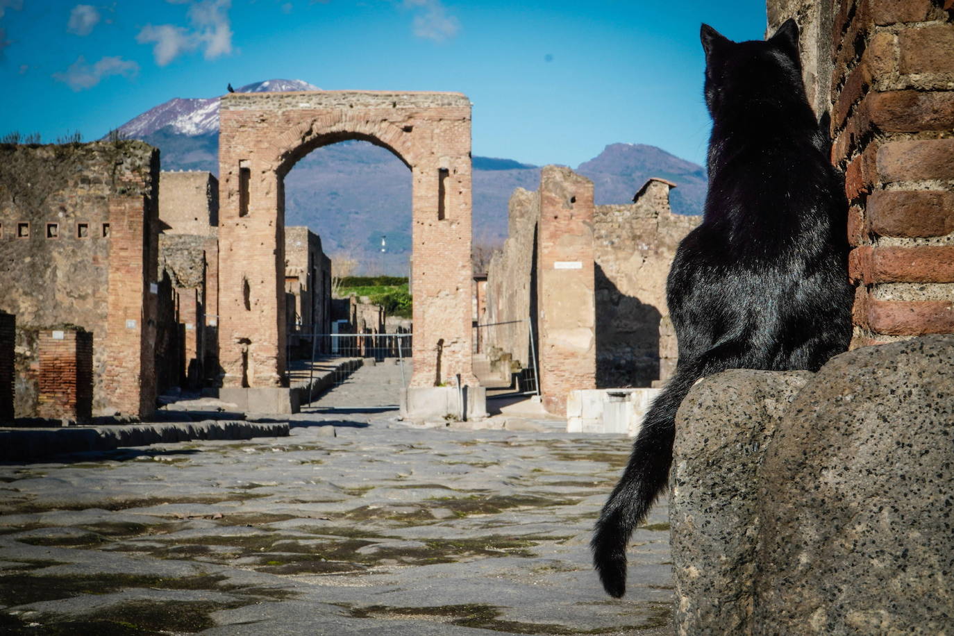 Pompeya ha vuelto a abrir su recinto arqueológico tras semanas clausurado por la pandemia de coronavirus. En los primeros días de apertura, decenas de visitantes se han acercado a disfrutar de este espacio histórico.