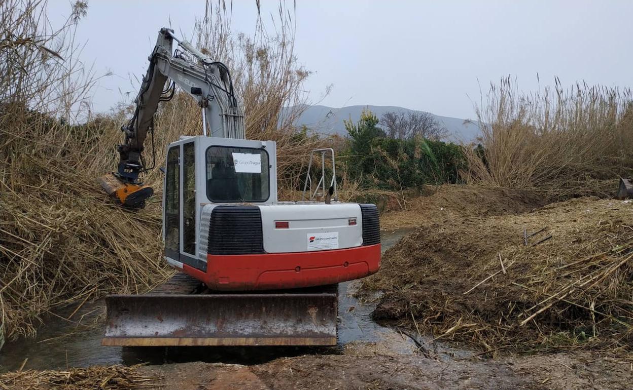 Tareas de limpieza de cañas en el río Vaca en el término de Benifairó de la Valldigna. 