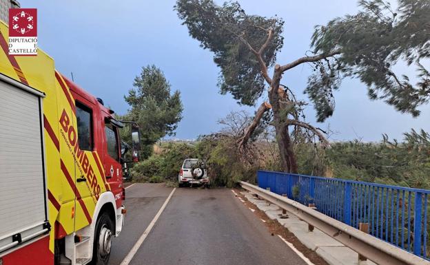 Las fuertes rachas de 'Hortensia' obligan a cerrar parques, jardines, cementerios y el Puerto de Valencia