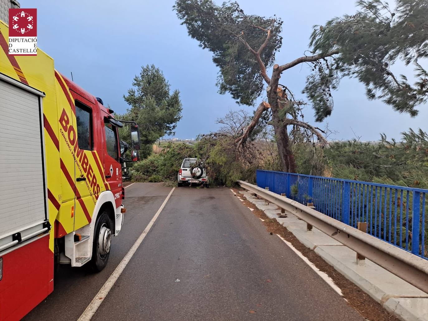 Fotos: &#039;Hortensia&#039; obliga a cerrar parques, jardines y cementerios y provoca incidentes debido a las fuertes rachas de viento