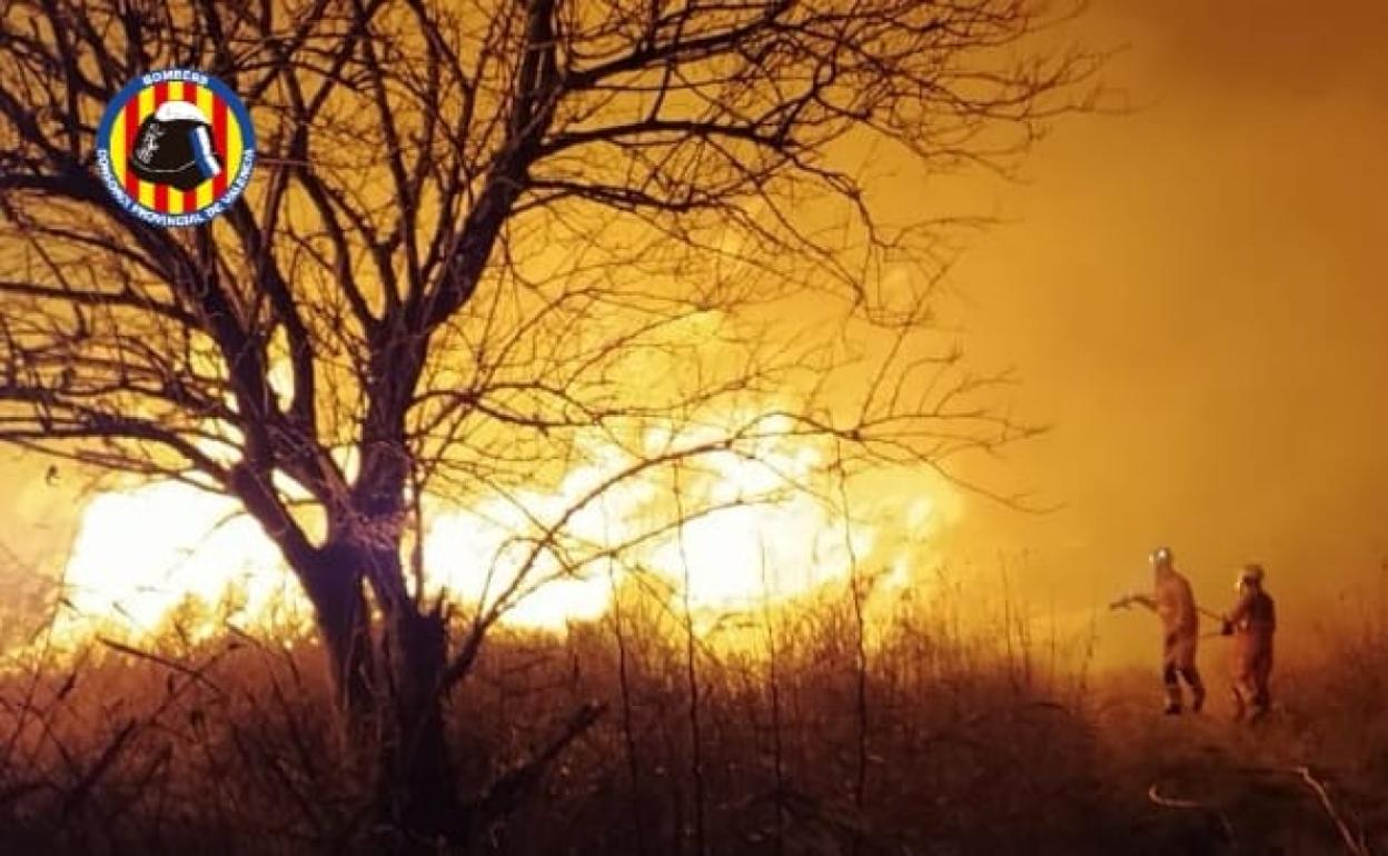 Dos bomberos sofocan las llamas. 