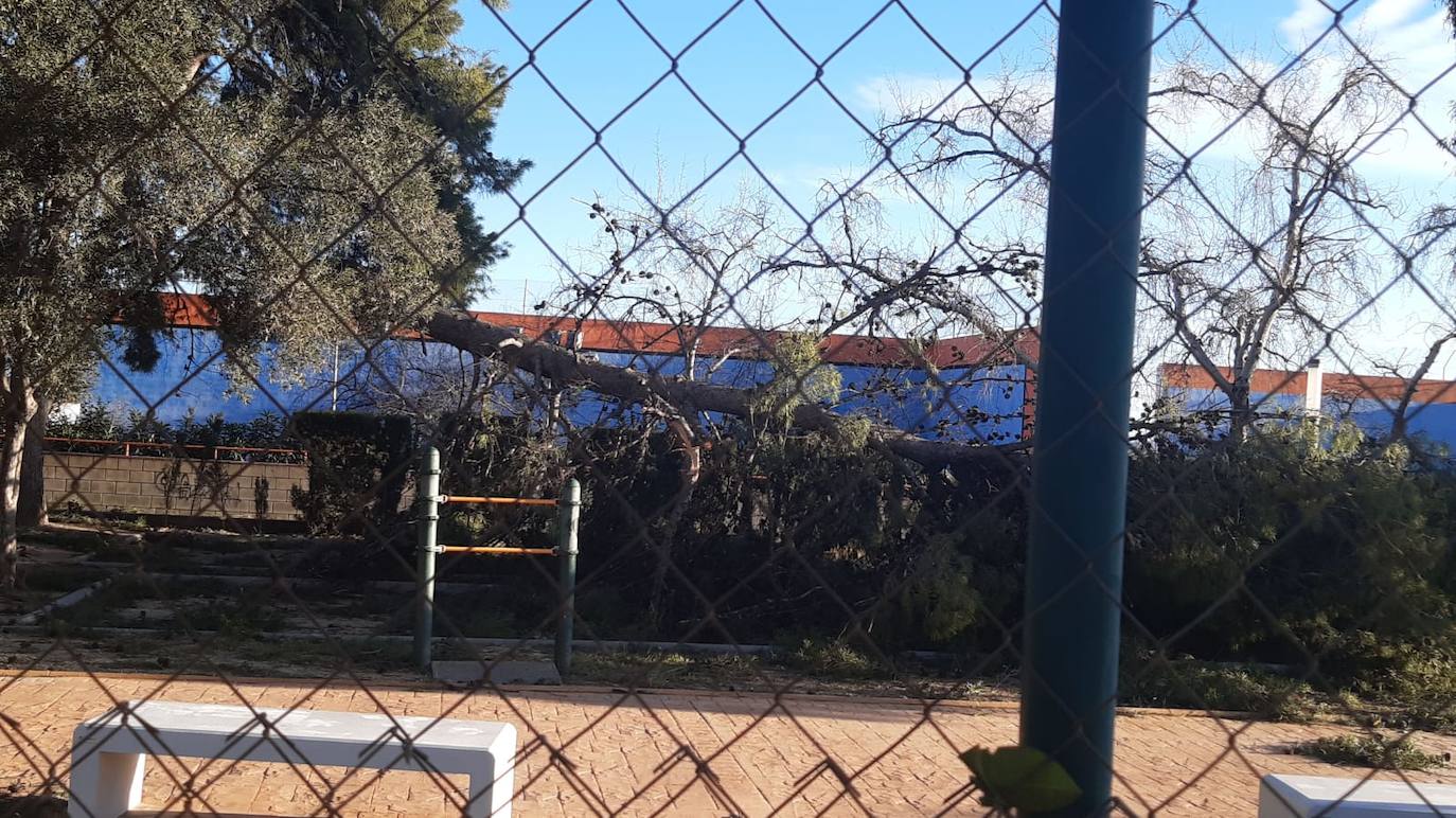 La borrasca deja rachas de hasta 100 km/h en el interior de la provincia de Valencia.