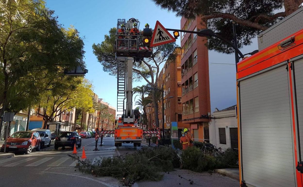 Labores de saneamiento de ramas en Paterna. 