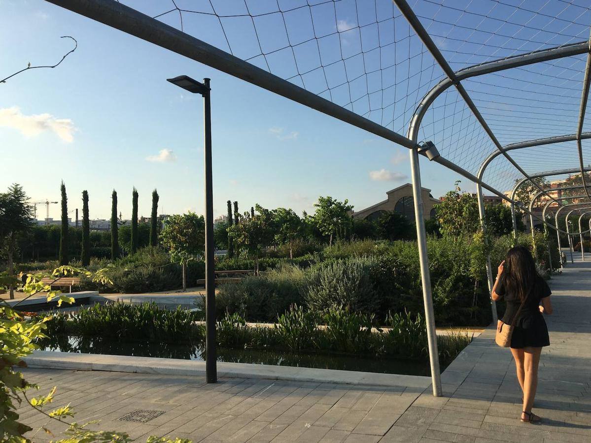 El Parque Central de Valencia es uno de los 11 finalistas al premio Rosa Barba de la undécima bienal de paisaje de Barcelona, uno de los certámenes de paisajismo «más prestigiosos». Así, competirá con otros diez finalistas de todo el mundo, entre ellos jardines de Shangai, Lisboa, Medellín, Brooklyn o Bangkok, entre otros. También el jardín de la plaza de Amparo Arce, en Benimaclet, se encuentra entre los jardines que han concurrido al premio. El jurado del premio ha valorado que el Parque Central es uno de los proyectos urbanos y de infraestructura «más importantes de la ciudad» y que, a su finalización, «se convertirá en uno de los pulmones verdes de la ciudad puesto que conectará barrios que hasta ahora estaban separados por las vías del tren». El jurado de la bienal también ha valorado la utilización del agua como «eje vertebrador» de todo el jardín, según ha indicado el Ayuntamiento de Valencia en un comunicado.