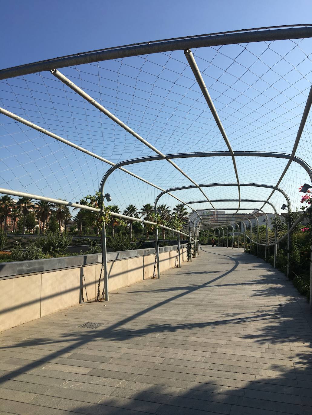 El Parque Central de Valencia es uno de los 11 finalistas al premio Rosa Barba de la undécima bienal de paisaje de Barcelona, uno de los certámenes de paisajismo «más prestigiosos». Así, competirá con otros diez finalistas de todo el mundo, entre ellos jardines de Shangai, Lisboa, Medellín, Brooklyn o Bangkok, entre otros. También el jardín de la plaza de Amparo Arce, en Benimaclet, se encuentra entre los jardines que han concurrido al premio. El jurado del premio ha valorado que el Parque Central es uno de los proyectos urbanos y de infraestructura «más importantes de la ciudad» y que, a su finalización, «se convertirá en uno de los pulmones verdes de la ciudad puesto que conectará barrios que hasta ahora estaban separados por las vías del tren». El jurado de la bienal también ha valorado la utilización del agua como «eje vertebrador» de todo el jardín, según ha indicado el Ayuntamiento de Valencia en un comunicado.