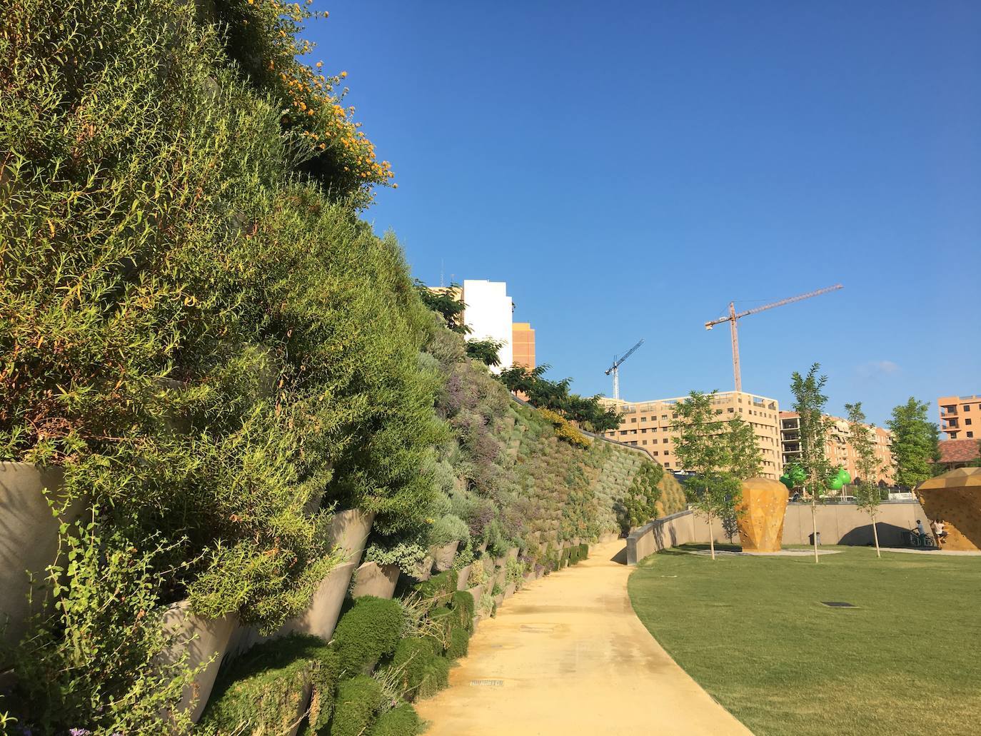 El Parque Central de Valencia es uno de los 11 finalistas al premio Rosa Barba de la undécima bienal de paisaje de Barcelona, uno de los certámenes de paisajismo «más prestigiosos». Así, competirá con otros diez finalistas de todo el mundo, entre ellos jardines de Shangai, Lisboa, Medellín, Brooklyn o Bangkok, entre otros. También el jardín de la plaza de Amparo Arce, en Benimaclet, se encuentra entre los jardines que han concurrido al premio. El jurado del premio ha valorado que el Parque Central es uno de los proyectos urbanos y de infraestructura «más importantes de la ciudad» y que, a su finalización, «se convertirá en uno de los pulmones verdes de la ciudad puesto que conectará barrios que hasta ahora estaban separados por las vías del tren». El jurado de la bienal también ha valorado la utilización del agua como «eje vertebrador» de todo el jardín, según ha indicado el Ayuntamiento de Valencia en un comunicado.