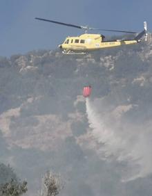 Imagen secundaria 2 - Un incendio de vegetación en Alfarp obliga a establecer la situación 1 del Plan Especial