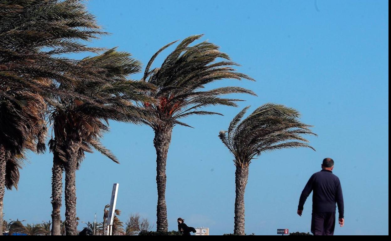 Tiempo en Valencia | La Comunitat Valenciana amanece con rachas muy fuertes de viento en el interior de Valencia y Castellón