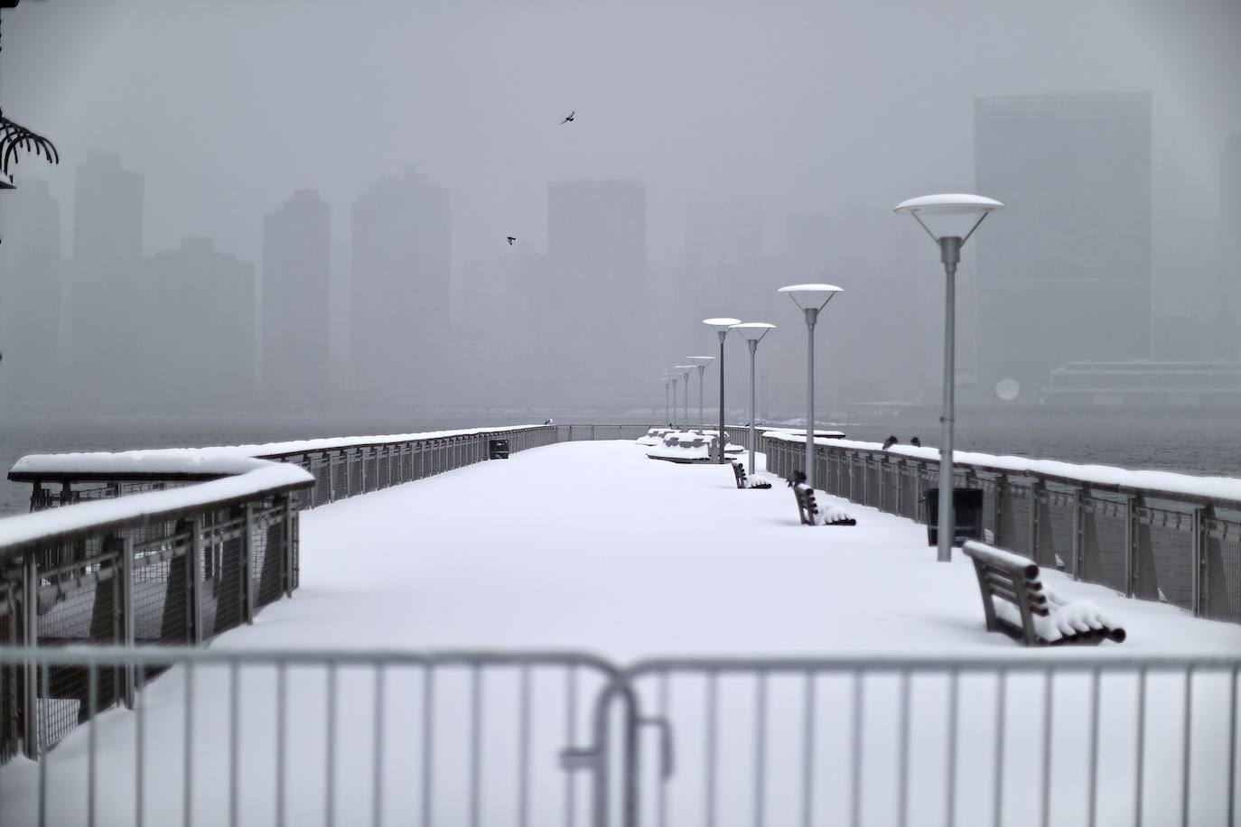 Una gigantesca tormenta invernal azota el noreste de Estados Unidos, ha obligado a cancelar miles de vuelos, cerrar escuelas y suspender la vacunación contra el Covid-19 en Nueva York, que enfrenta posiblemente una de las mayores nevadas de su historia. El alcalde de Nueva York, Bill de Blasio, ha decretado el estado de emergencia en la ciudad de 8,6 millones de habitantes, donde se esperan más de 50 cm de nieve. 