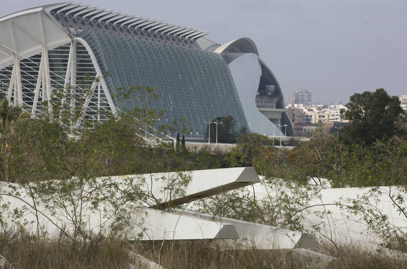 Aspas del Agora abandonadas en un solar