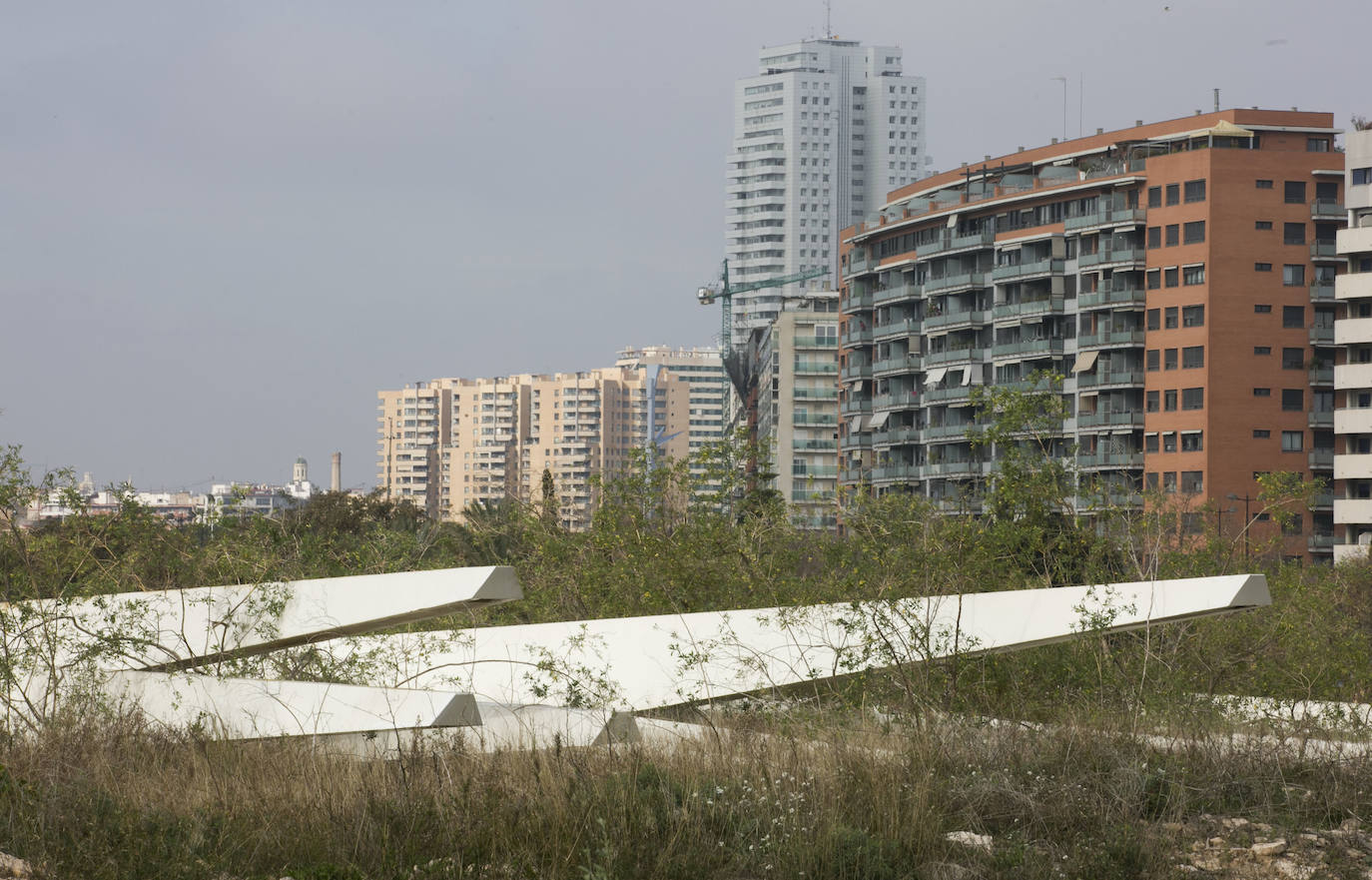 Aspas del Agora abandonadas en un solar