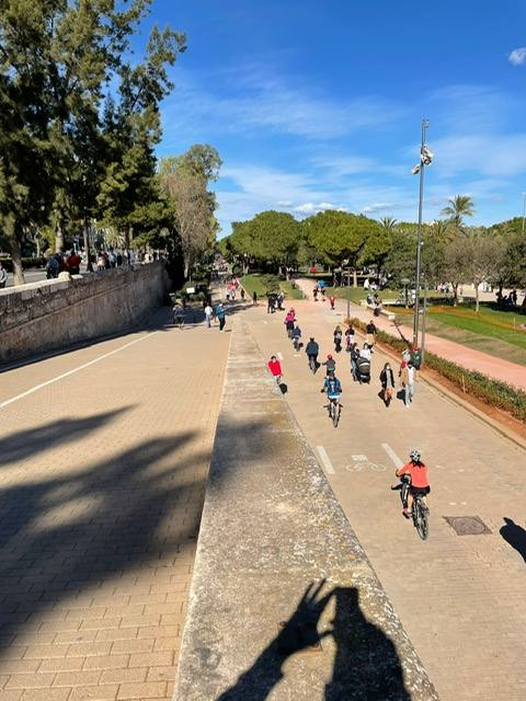 A falta de otras distracciones -los comercios están cerrados y escasean las ofertas de ocio y culturales- los valencianos se han lanzado este fin de semana a los parques, paseos y playas de la ciudad para disfrutar de este fin de semana de restricciones a causa de la pandemia de Covid. Los largos paseos y la práctica de deportes como el running o el surf son ahora las formas preferidas de ocio. 