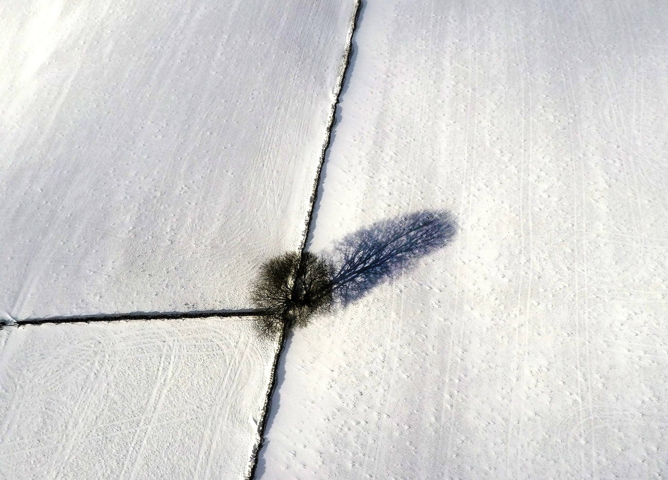 La tormenta Darcy que azota a varios países de Europa provocó que la capital francesa amaneciera con temperaturas bajo cero y con calles e históricos monumentos teñidos de blanco. 