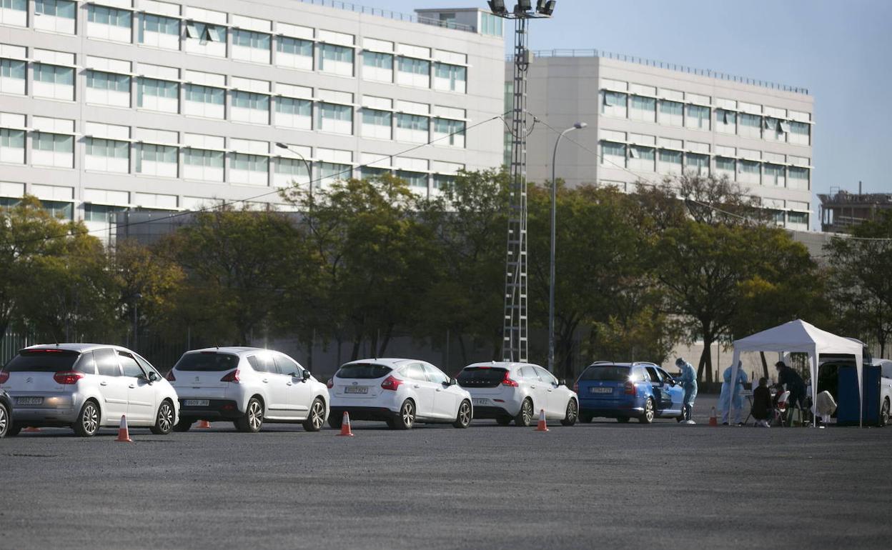 Cola de vehículos en una de las carpas para realizar PCR a escolares.