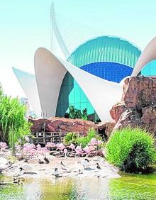 Imagen secundaria 2 - Iglesia de los Santos Juanes / Plaza redonda / Oceanogràfic.