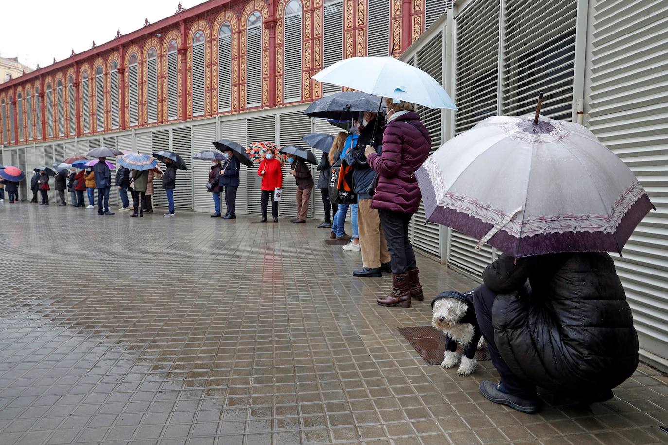 Fotos: Las fotos más curiosas de las elecciones catalanas del 14F de 2021