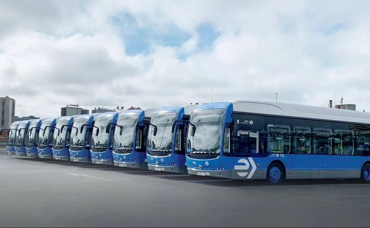 Los autobuses eléctricos de BYD se consolidan como una opción de futuro  para las principales ciudades europeas | Las Provincias