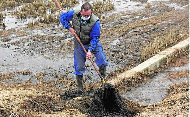 Miguel intenta retirar la paja de una acequia. 