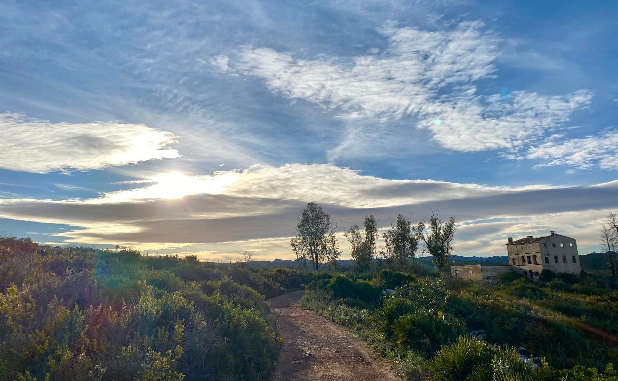 Finca de El Realenc. 