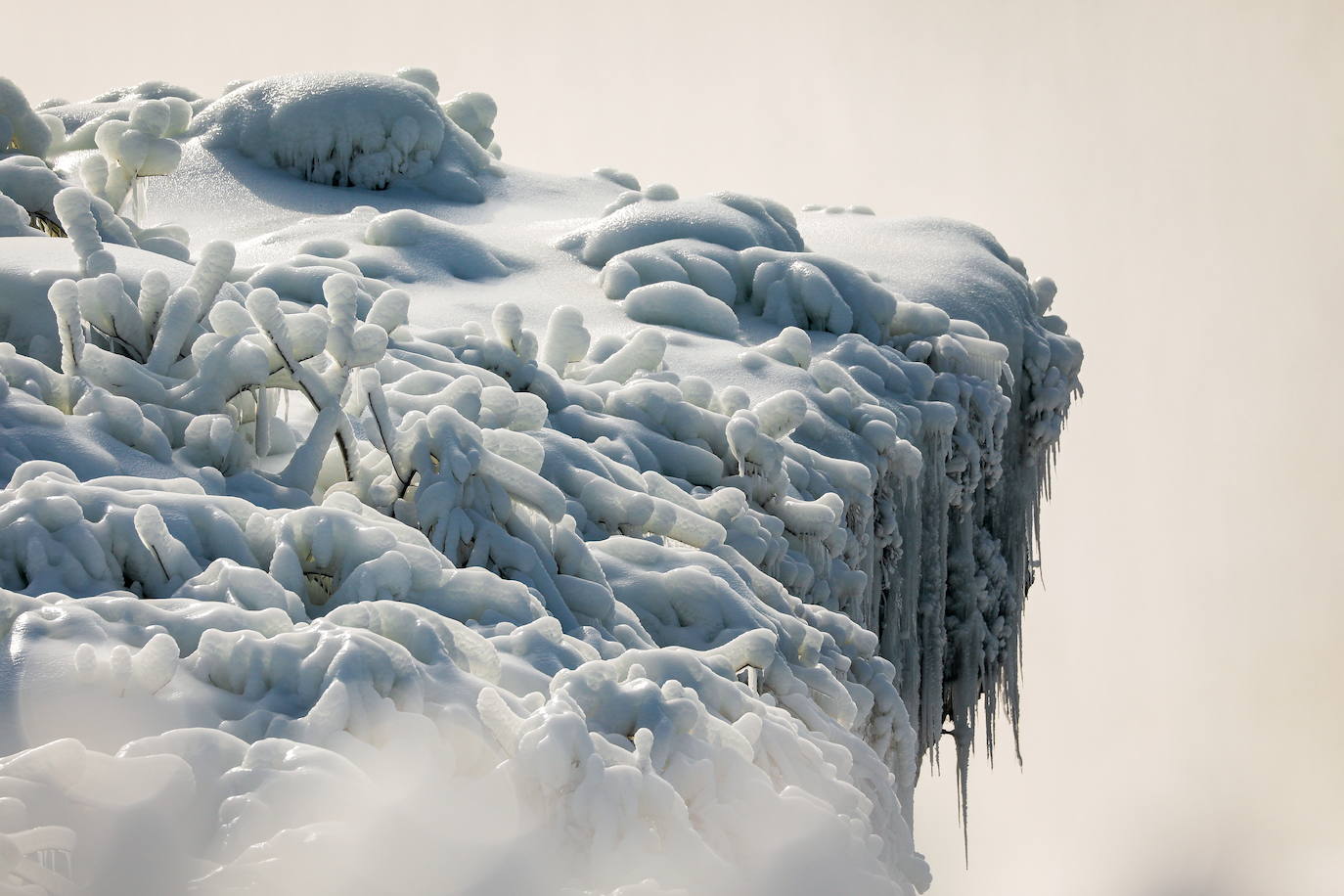 El frío extremo del invierno en América del Norte y Canadá nos brinda una estampa espectacular de las Cataratas del Niágara. Casi congeladas. La nieve y las acumulaciones de hielo crean un verdadero paraíso invernal. Imposible resistirse a una foto con este magnífico espectáculo de la naturaleza. Será por unos dias más. La previsión mantiene las temperaturas gélidas y anuncia más nevadas. 