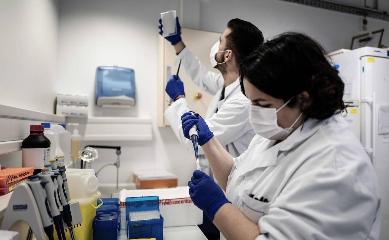 Dos científicos trabajan en un laboratorio. 