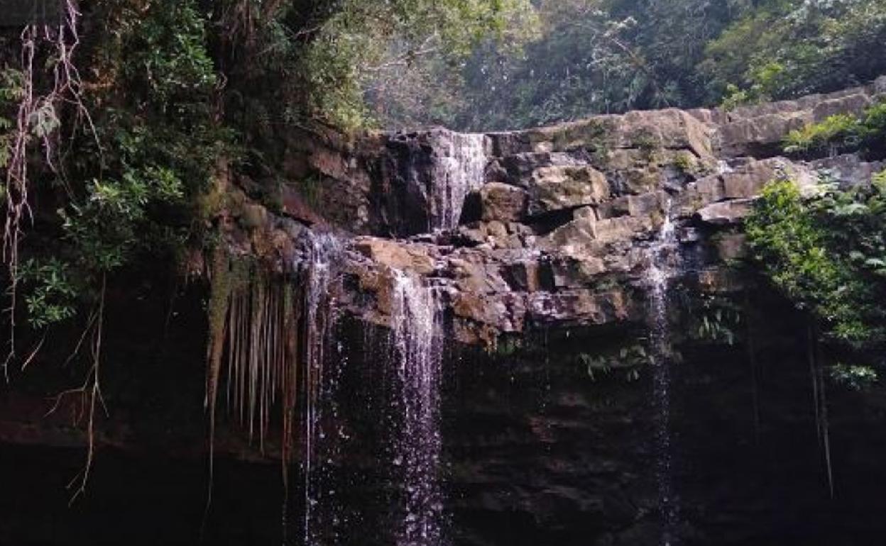 Parque Nacional Endau Rompin, en Johor.