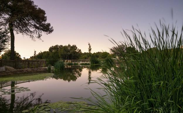 Parque El Recorral (Rojales)