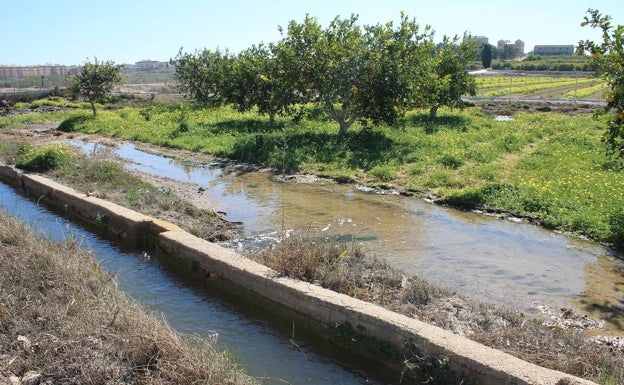 El campo de la Vega Baja tras las precipitaciones de los últimos días. 