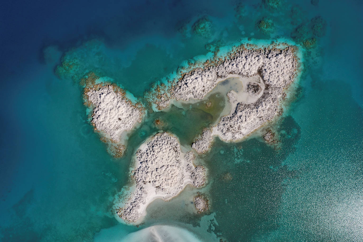 Un lago de unos 40 kilómetros cuadrados en el suroeste de Turquía ha atraído la atención de los científicos por las similitudes que ven con el cráter Jezero de Marte, donde ha aterrizado el explorador Perseverance de la NASA. Los investigadores creen que el lago Salda, en la provincia de Burdur, comparte características minerales y geológicas similares al cráter Jezero.