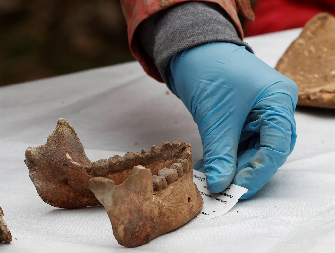 Es el descubrimiento uno de los esqueletos mejor conservados de prehistoria que tiene más de 11.700 años. Bautizado como 'el hombre de Loizu', sus restos han estado durante casi doce milenios resguardados en una cueva cerca de la localidad navarra de Erro, donde este viernes ha sido presentado como «un hallazgo excepcional». Los detalles han sido explicados in situ, en la entrada de la angosta cueva del concejo de Aintzioa-Loizu, por los expertos del equipo interdisciplinar que trabajan en la investigación en un acto al que ha acudido también la presidenta del Gobierno de Navarra, María Chivite.