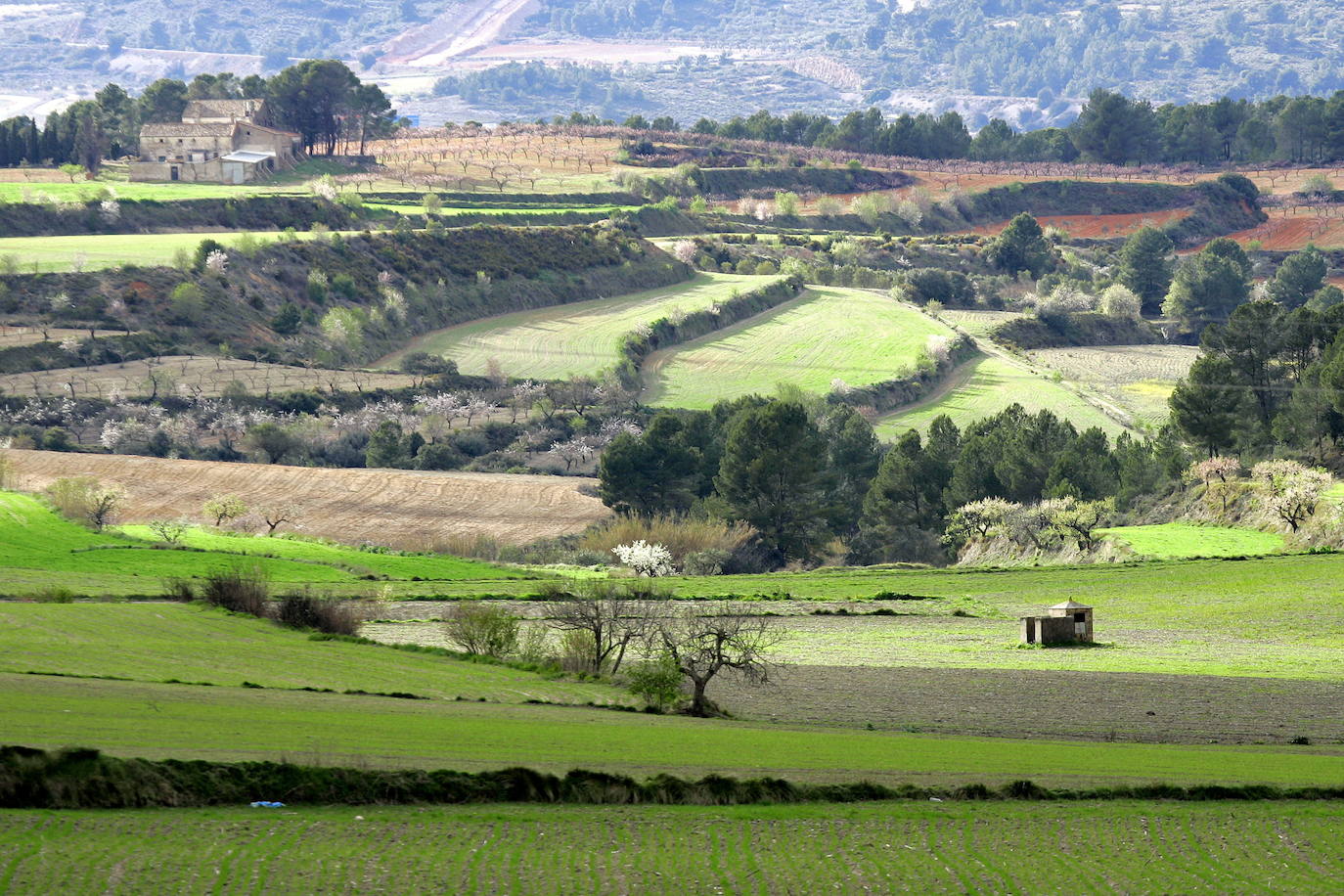 Los términos de Moixent, La Font de la Figuera y Fontanars dels Alforins aglutinan una distinguida concentración de masías históricas y campos de vid, cereal, almendros, olivos y frutales que forman un mosaico sin parangón y se intercalan con núcleos de pinada y serpenteantes caminos que se adentran entre parcelas, ribeteados de cipreses. Este rincón valenciano, conocido como les Terres dels Aforins y que guarda en su centro el valle de Les Alcusses, está repleto de belleza y encantos, que le hicieron merecer hace tiempo el sobrenombre de la 'Toscana valenciana'.